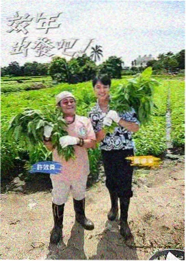 巴巴影视网东南亚区域导览配图，热带市集与摩托长街